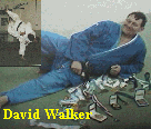 David Walker David Walker