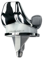 Mobile-Bearing Prosthesis Mobile-Bearing Prosthesis