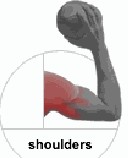 Shoulders Shoulders